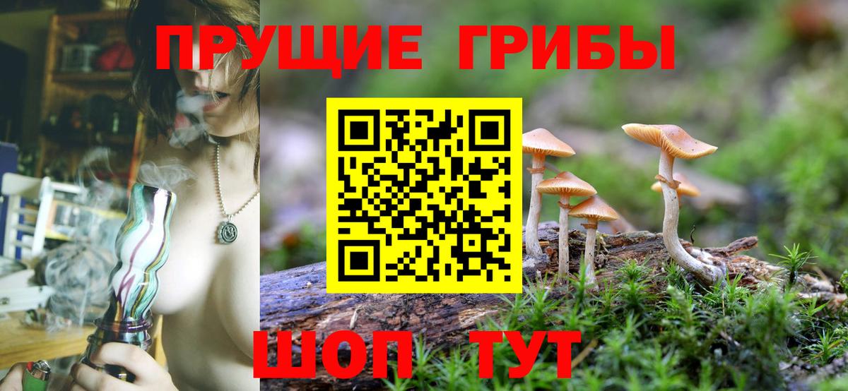Миасс  закладки  Псилоцибиновые грибы Psilocybine cubensis  Вход с VPN  Псилоцибиновые грибы прущие грибы 