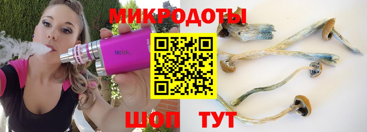 Псилоцибиновые грибы мухоморы Миасс